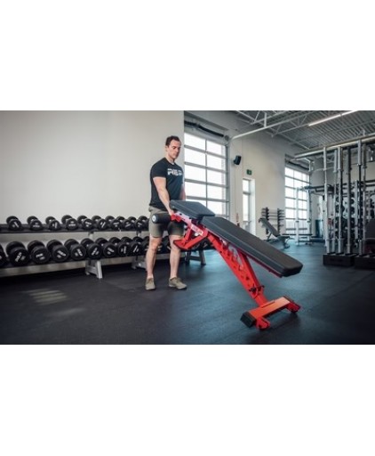 Rep Fitness AB-3000 2.0 FID Adjustable Weight Bench- Black