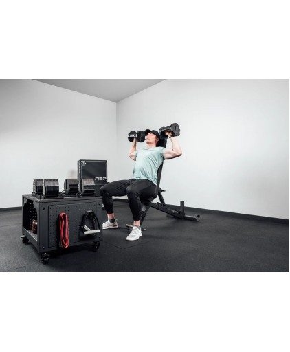 Rep Fitness AB-4102 Nighthawk Adjustable Bench