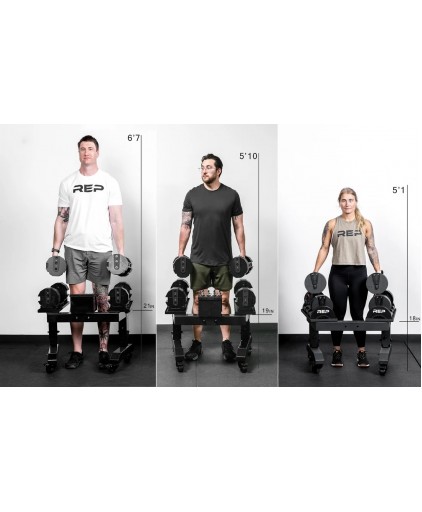 Rep Fitness DBA-7000-01 MAT Adjustable Dumbbell Stand , REPxPEPIN