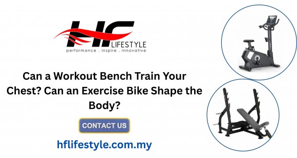 Can a Workout Bench Train Your Chest? Can an Exercise Bike Shape the Body?