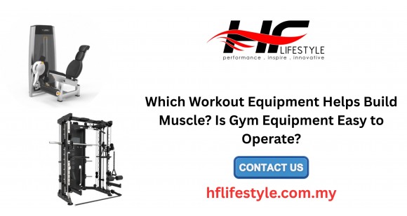 Which Workout Equipment Helps Build Muscle? Is Gym Equipment Easy to Operate?