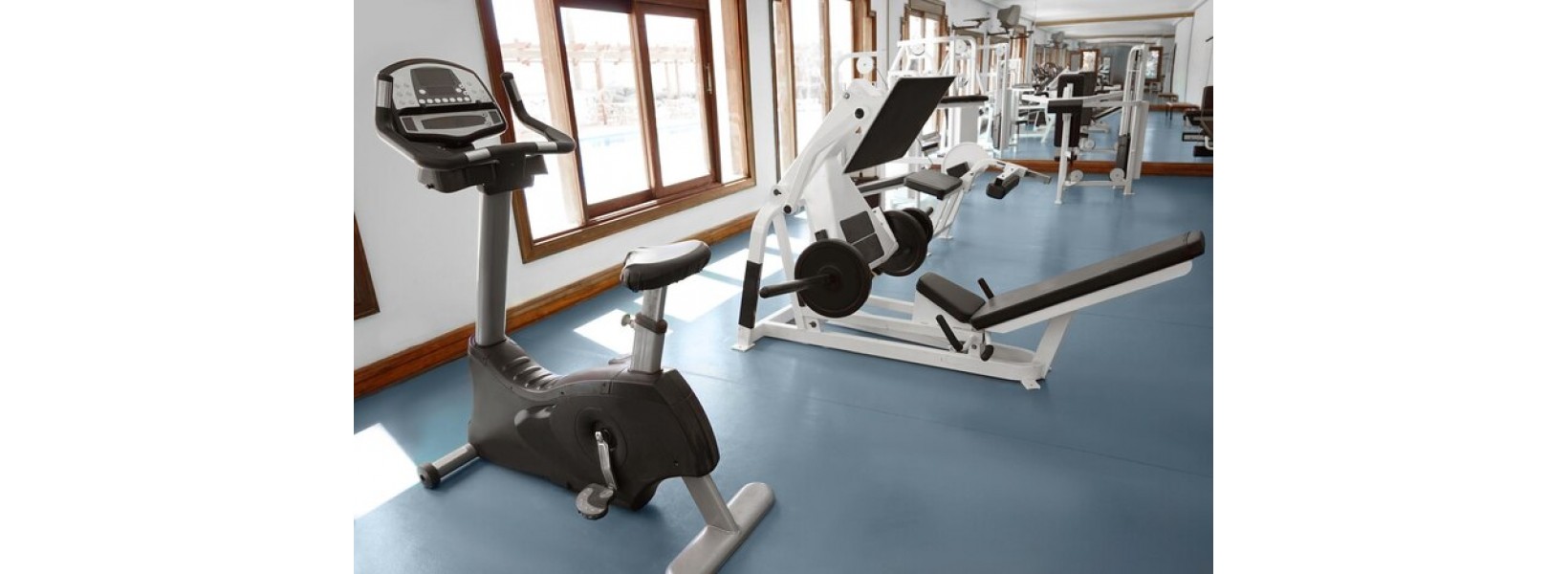 Workout Equipment in Malaysia: Can You Use a Workout Bench for Bulgarian Split Squats Workout Equipment in Malaysia: Can You Use a Workout Bench for Bulgarian Split Squats