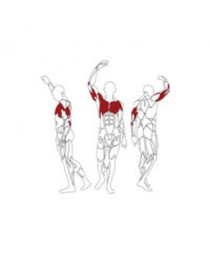 BH PL070 CHEST PRESS