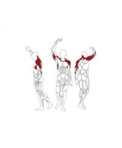 BH PL090 SHOULDER PRESS